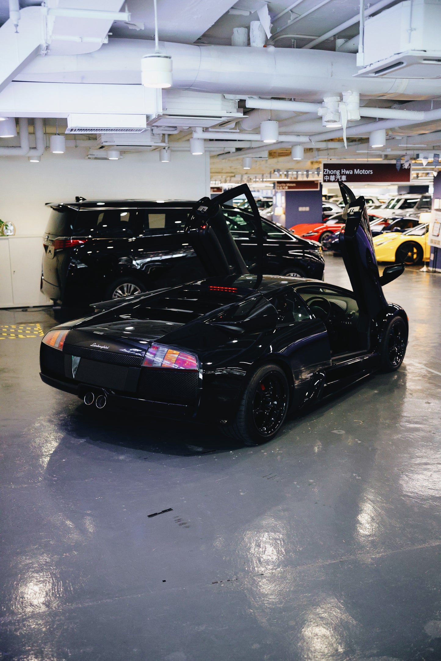 2003 Lamborghini Murcielago (MT)